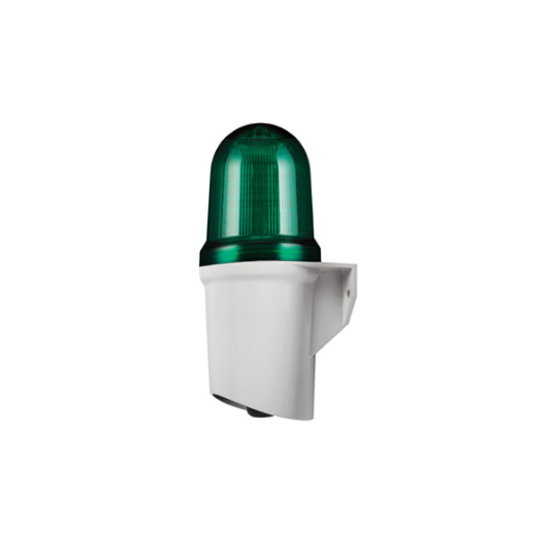 QAD80H-wakabe-qlight